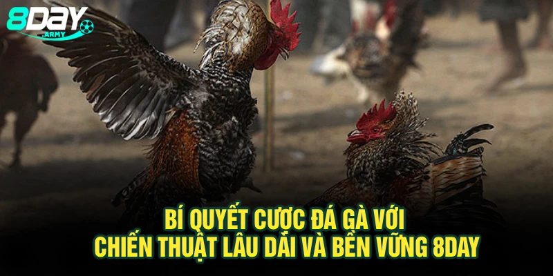 Bí Quyết Cược Đá Gà Với Chiến Thuật Lâu Dài Và Bền Vững 8Day