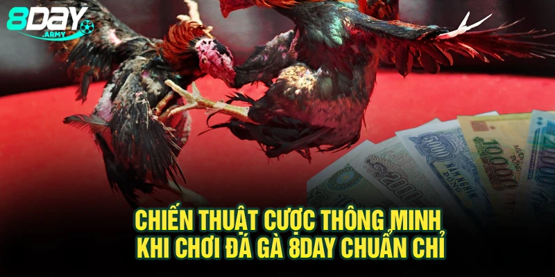 Chiến Thuật Cược Thông Minh Khi Chơi Đá Gà 8Day Chuẩn Chỉ