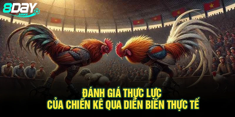 Đánh giá thực lực của chiến kê qua diễn biến thực tế